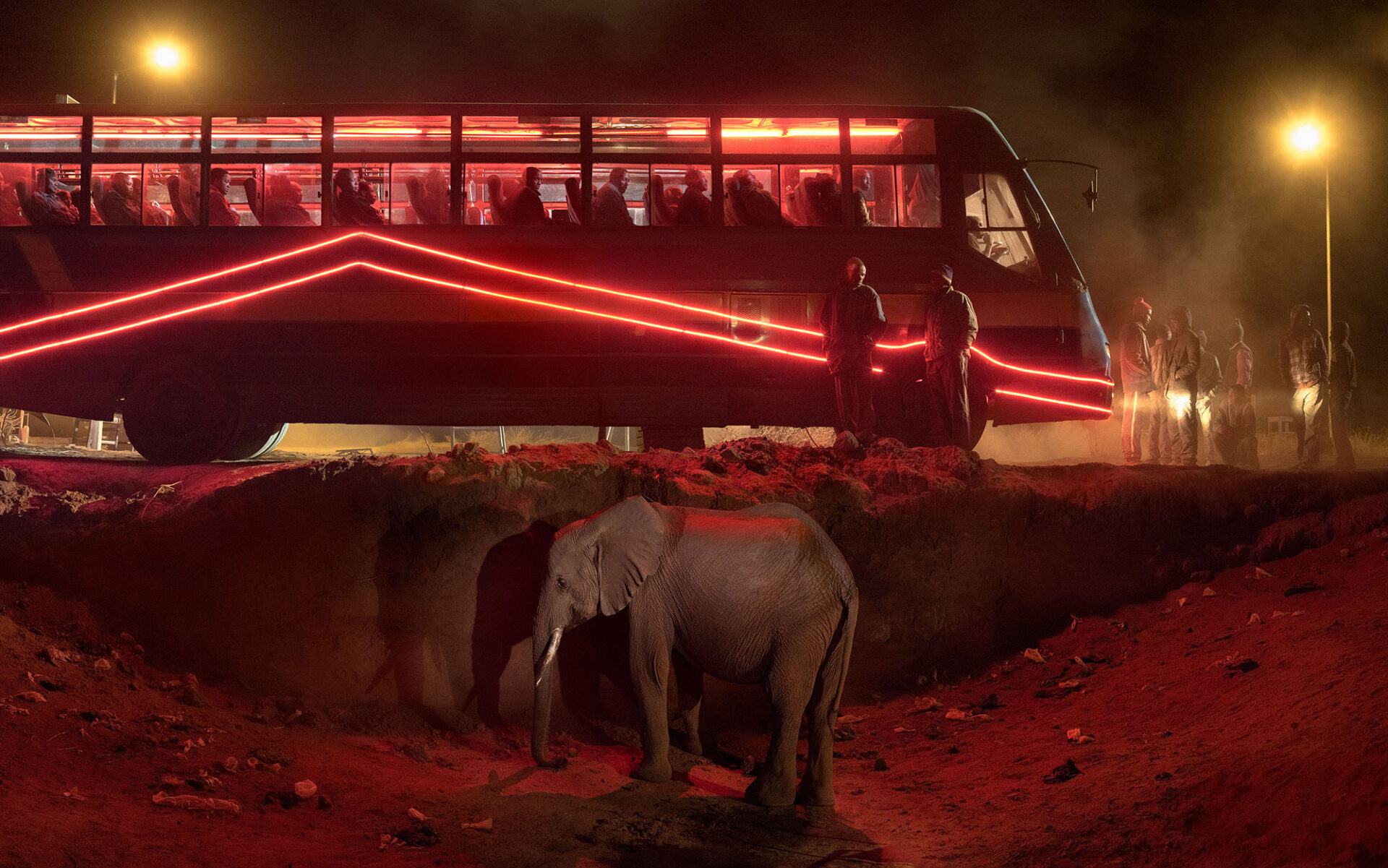 Nick Brandt captures a world on the brink of extinction with his