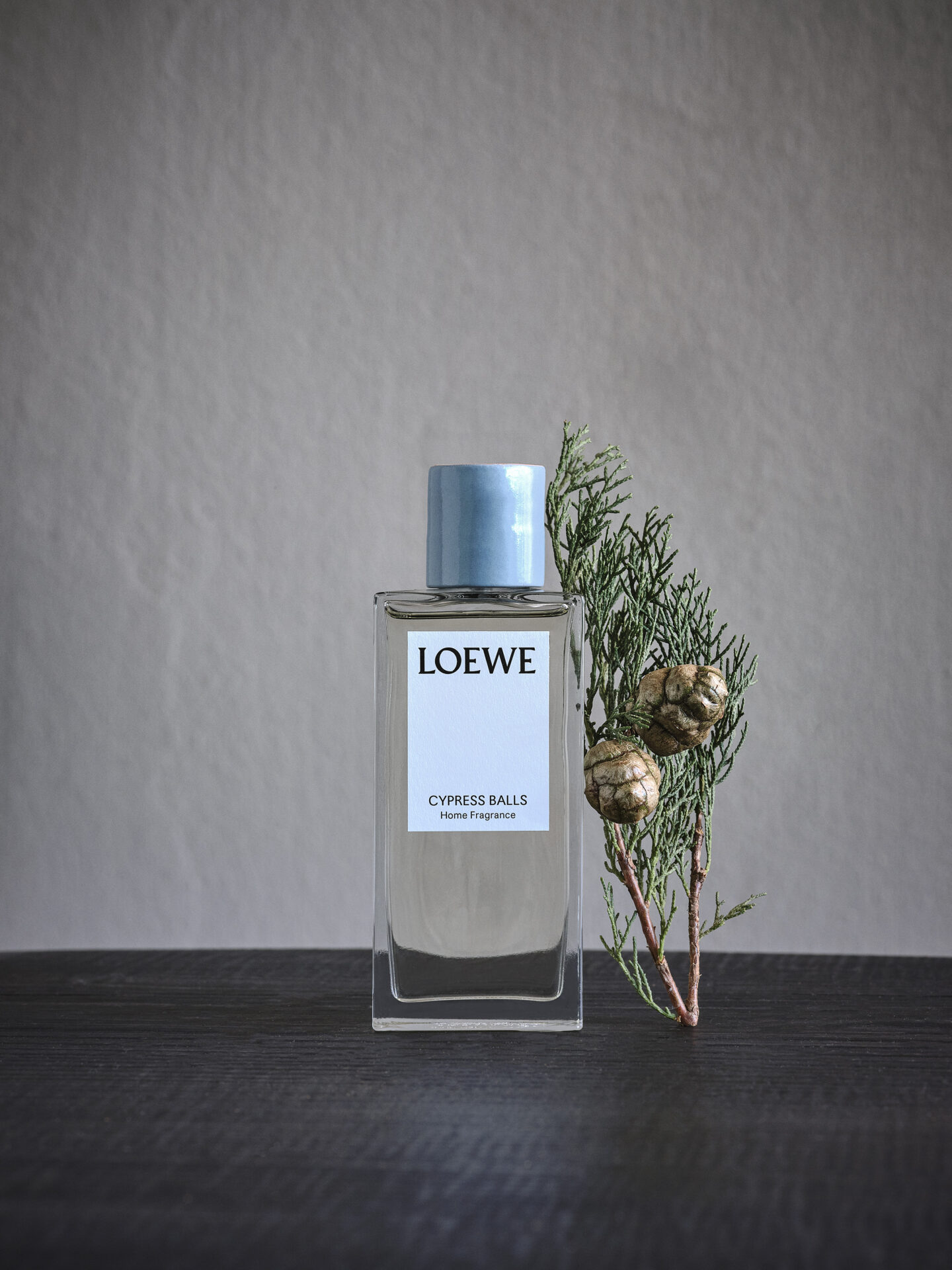 Loewe Oregano Home Fragrance 150ml | Liberty